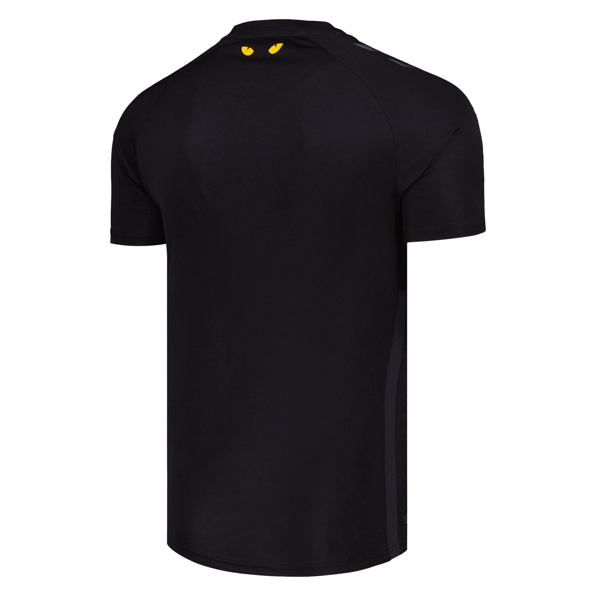 Sunderland 25/26 Third Shirt